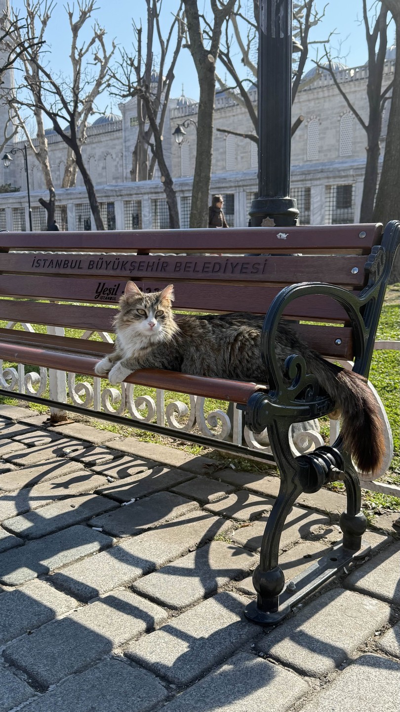 Ключ к сердцу Стамбула (Рита)