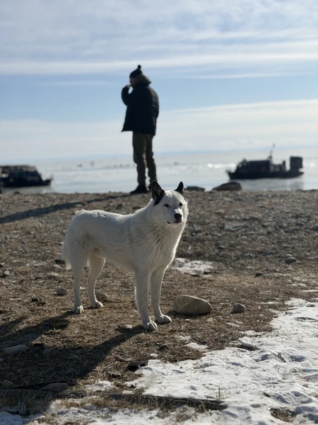 мы ездили с Михаилом, всё прошло замечательно) была очень комфортная обстановка на протяжении всей экскурсии. Байкал