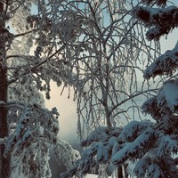 Фото отзыва 1: экскурсия "К Карпысакскому водопаду из Новосибирска"