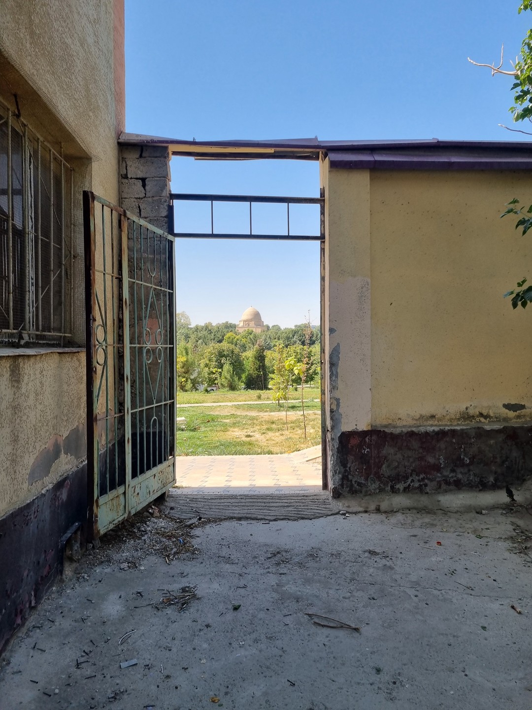 Иммерсивная прогулка по Самарканду (Ольга)