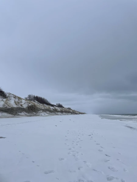 Утренняя Куршская коса, Зеленоградск и замок Нессельбек на автобусе (Елена)