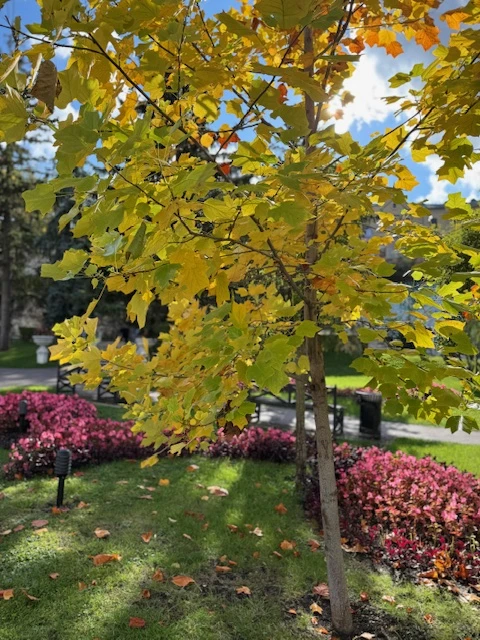 21 октября мы проехали по Лермонтовским местам КМВ в сопровождении Максима. Понравилось все: глубокие знания Максима