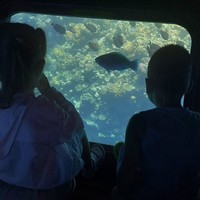 reviews img