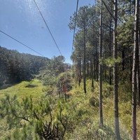 Фото отзыва 3: экскурсия "Далат на максимум (из Нячанга)"