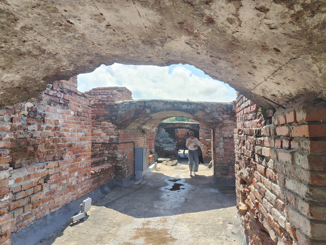 Брестская крепость и Беловежская пуща в формате «всё включено» (Арина)