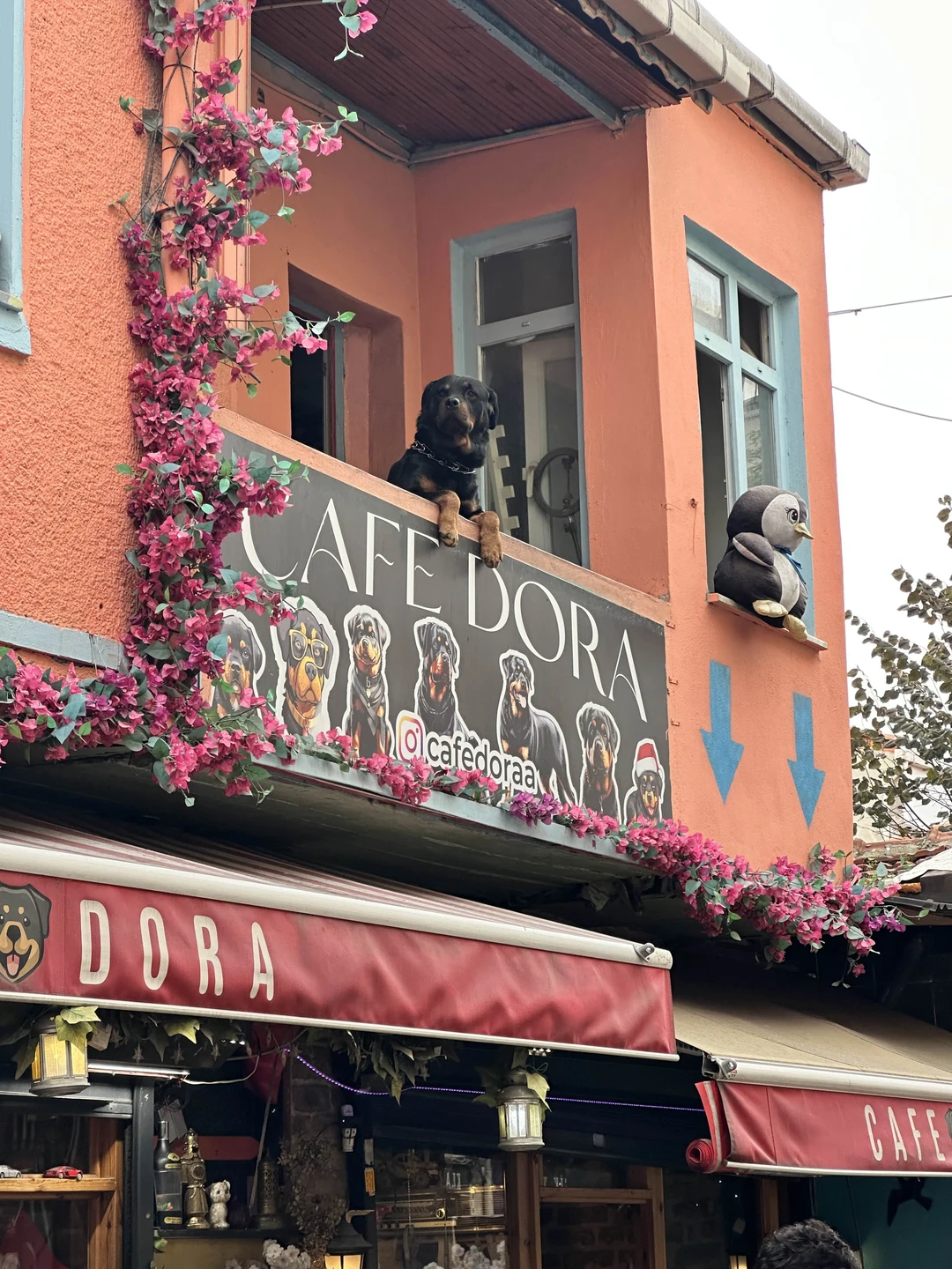 Отличная экскурсия по району Балат, очень красивый и немноголюдный район, много улочек с hand made сувенирами