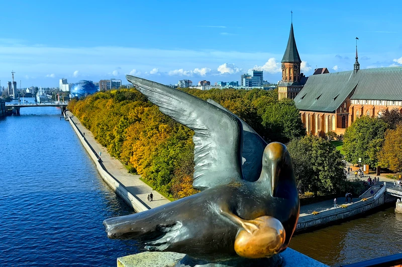 Рыбный Кёнигсберг и 12 оттенков пенного