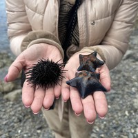 Фото отзыва 3: экскурсия "Полуостров Гамова: бухта Теляковского и остров Томящегося сердца"