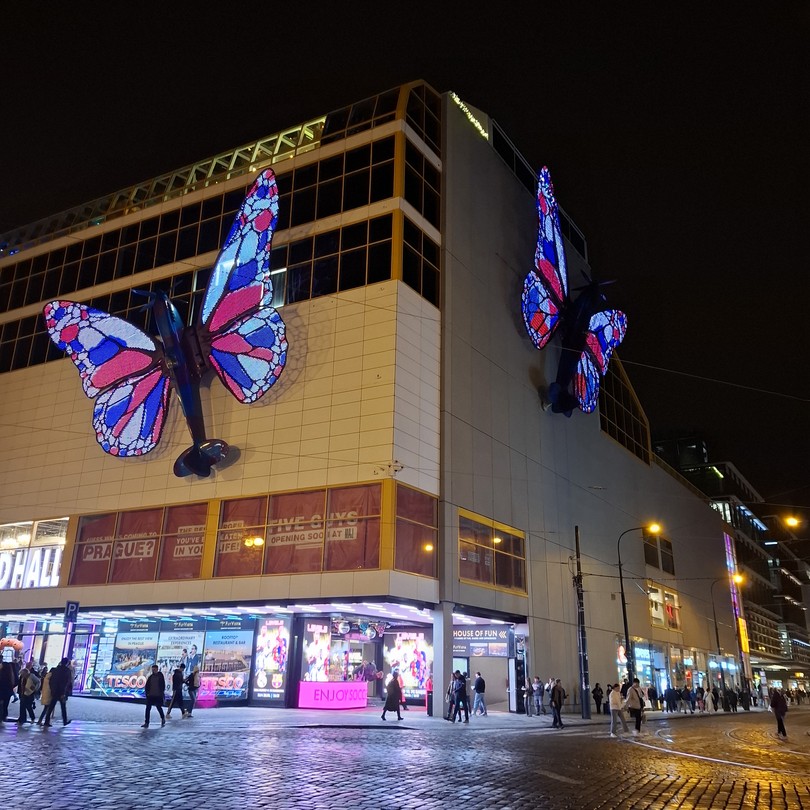 Мартин - прекрасный гид, знаюший глубоко всё, адаптирующийся к уровню аудитории. Мы не заметили, как пролетела