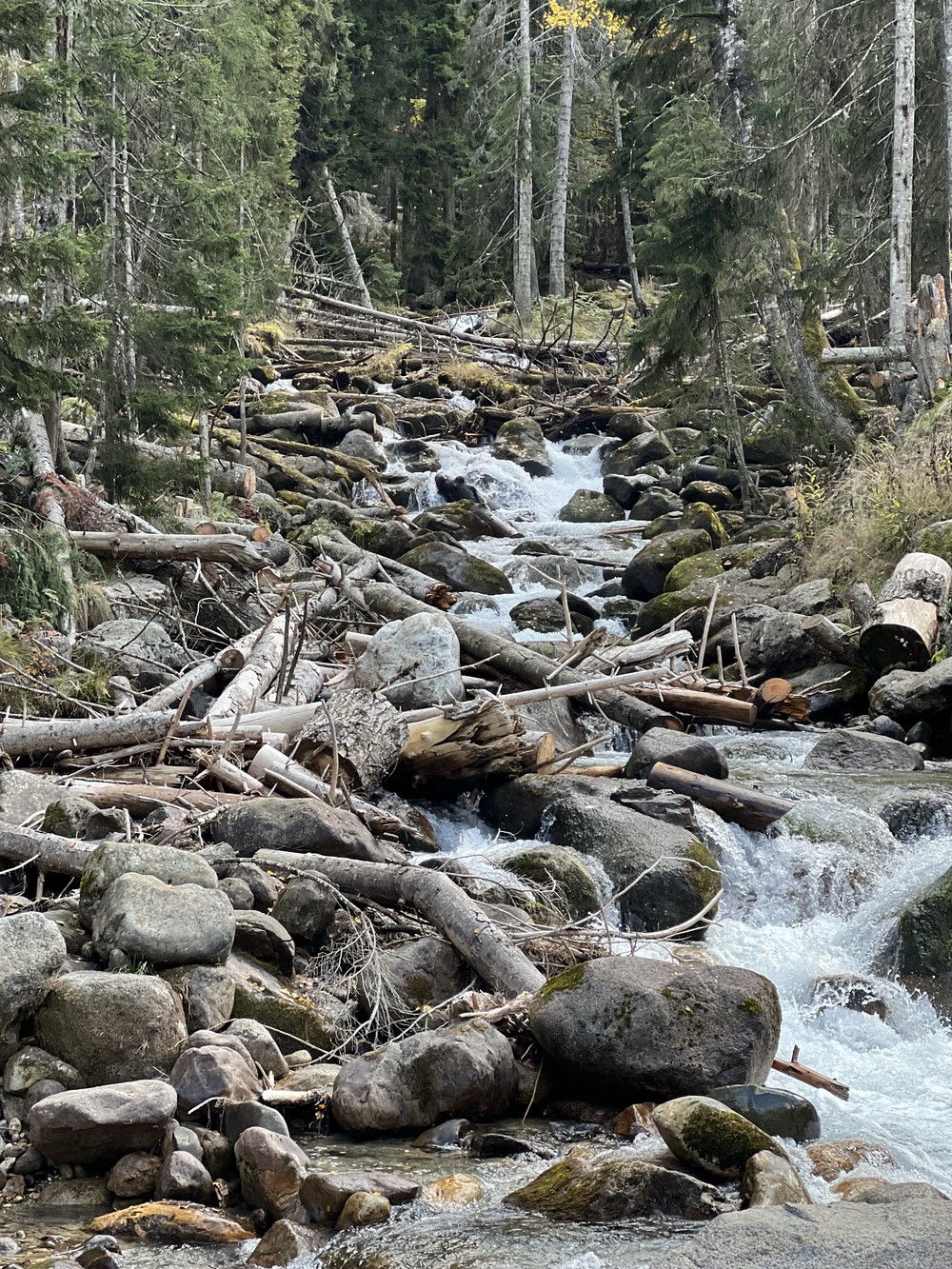 Из Кисловодска — в Домбай, Сырные пещеры и Тебердинский заповедник (6/12)