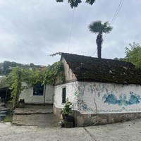 Фото отзыва 6: экскурсия "Из Сочи — на экоферму, винодельни и чайные плантации"