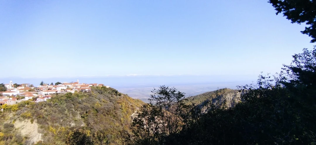 Нашим экскурсоводом был Владимир. Человек грамотный, профессиональный рассказчик, увлеченный историей Грузией. Экскурсия прошла на одном дыхании