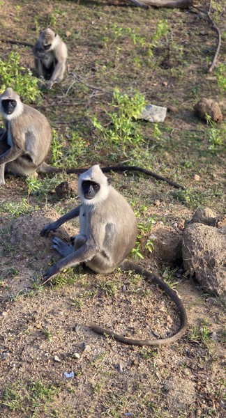 Остались очень довольны экскурсией! спасибо 🙏🏼