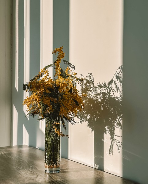 Нашим экскурсоводом был Славик, и это было одно из лучших наших путешествий. На экскурсии была создана