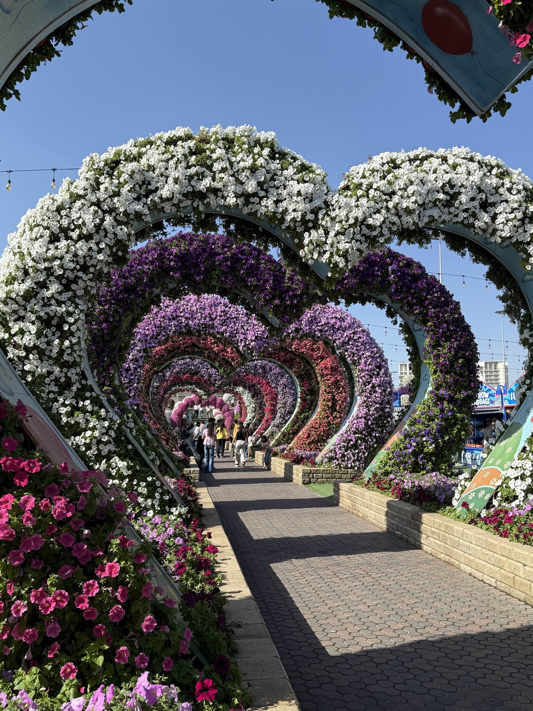 Добро пожаловать в Дубай (Екатерина)