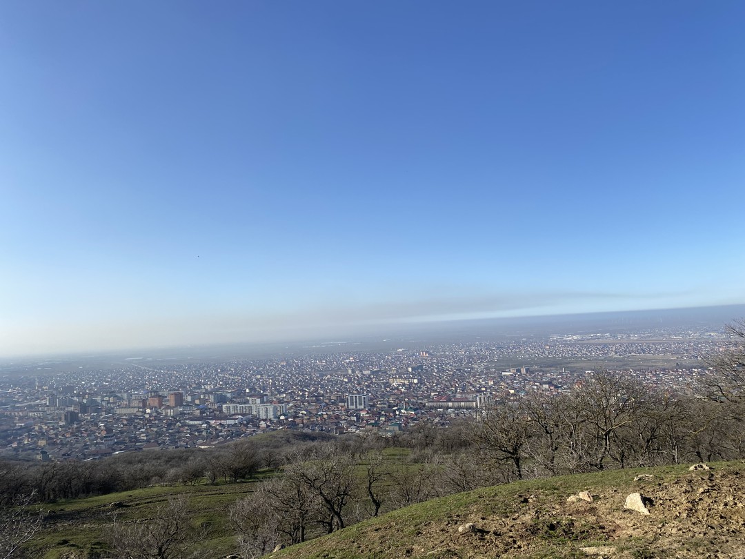 Прогулка прошла на высшем уровне