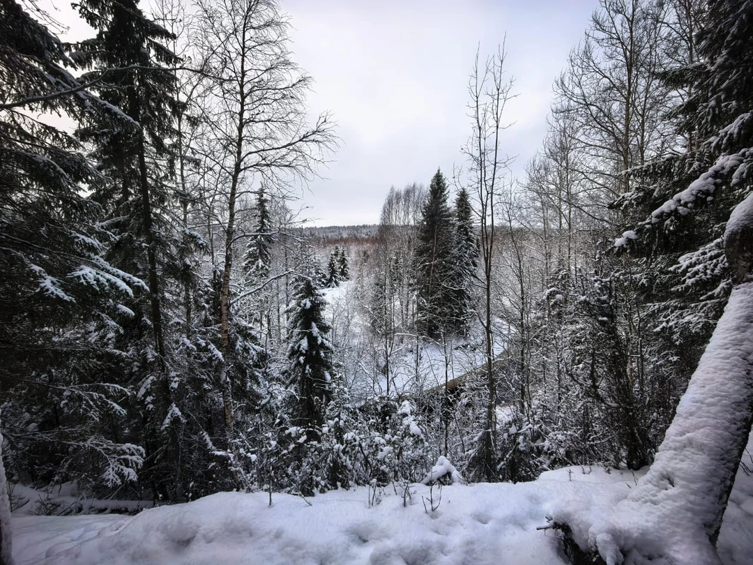 Советую! Гид Ольга - профессионал. Красивые заповедные места, загадочные природные явления очаровывают. Тонкая красота Севера открывается