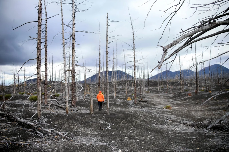 Туда, где горы дышат огнём: сплав, восхождение, глэмпинг и джипинг в мини-группе (всё включено)