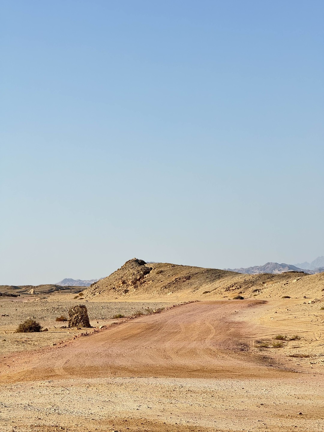 Отлично съездили с Мустафой в Рас Мухаммед. Увидели красоту-наземную и подводную. Муж с сыном в восторге
