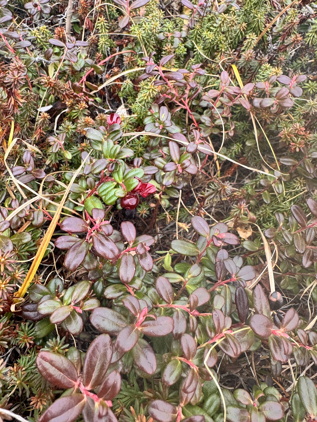 Потрясающая экскурсия была организована гидом Надеждой - комфортный, проходимый автомобиль, содержательный и интересный маршрут! Надежда -