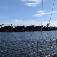 Фото отзыва 1: экскурсия "Знакомьтесь, Волгоградское море!"