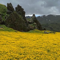 Фото отзыва 7: экскурсия "Джилы-Су за 1 день: незабываемый джип-тур"