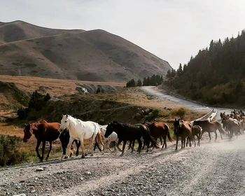 Природный парк «Ала-Арча», треккинг к водопаду и ночь в этнокомплексе