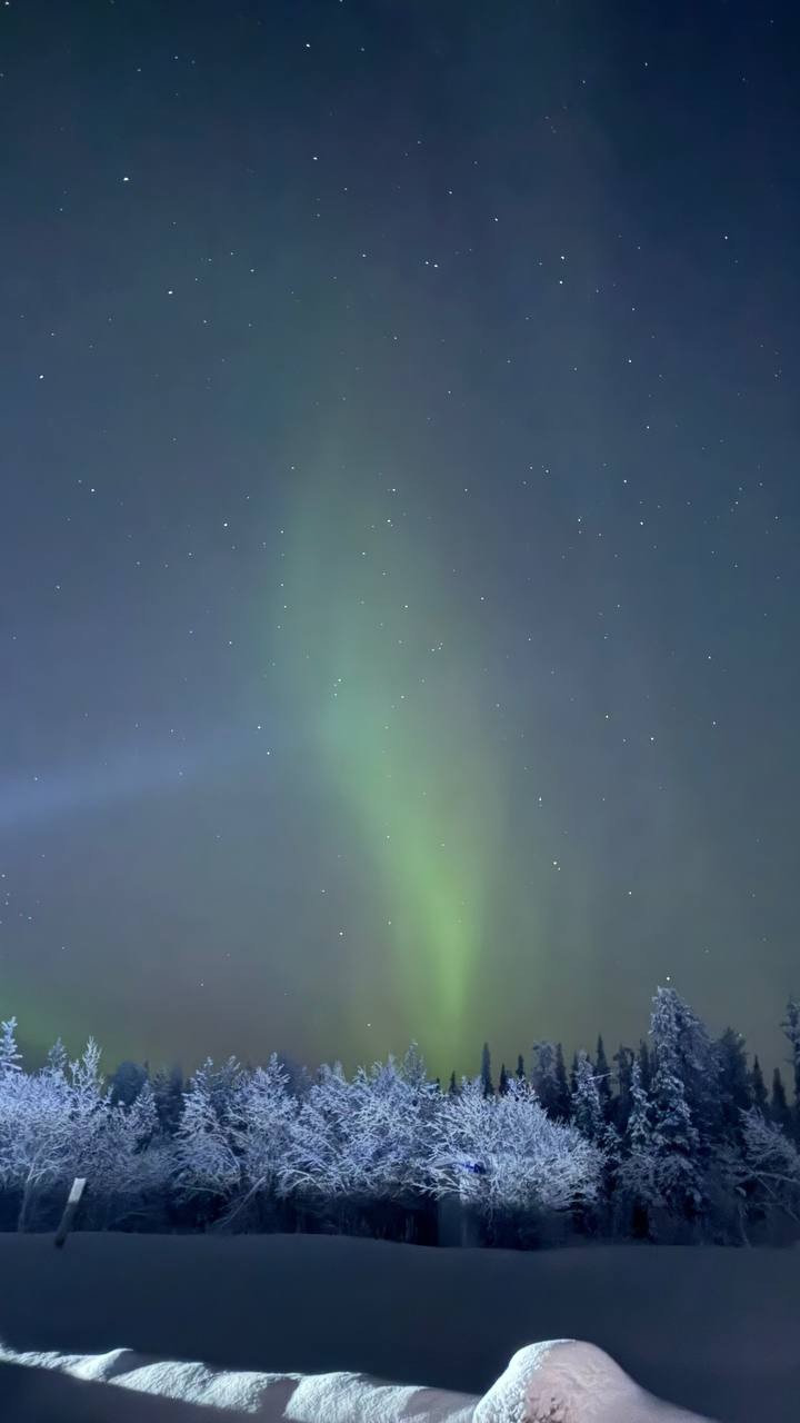 Экскурсия очень-очень понравилась. Дмитрий - прекрасный гид. Всё было хорошо организовано. Сначала посетили Этнодеревню, где покатались