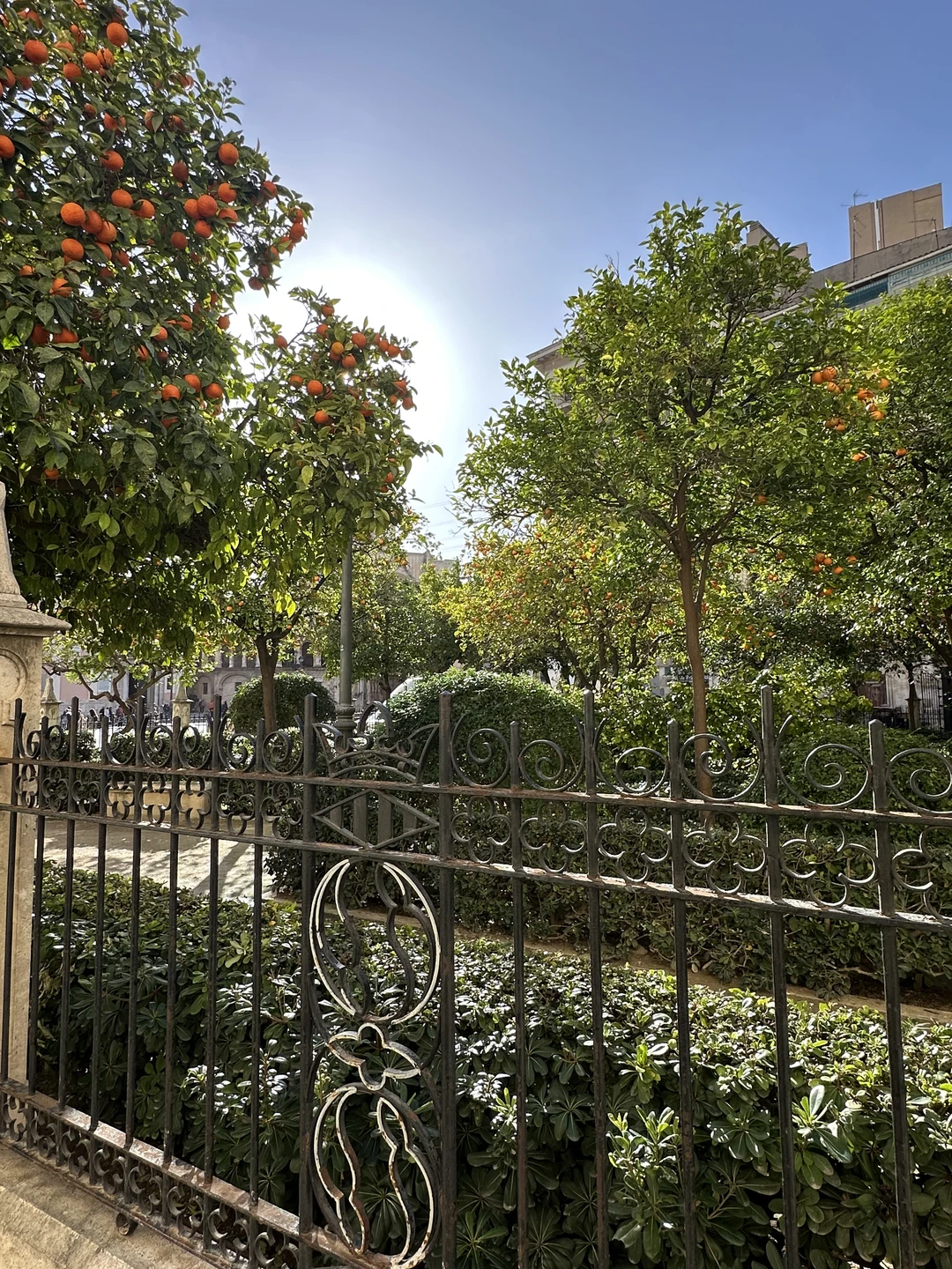 Прекрасная обзорная экскурсия «Первое знакомство» по Валенсии! Мы были в городе впервые, и благодаря Александре знакомство