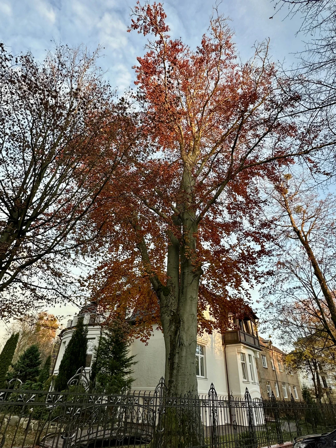 Душевная прогулка по уютным улочкам Амалиенау. Атмосферно и интересно. Спасибо Евгению за информацию о районе, структурированность