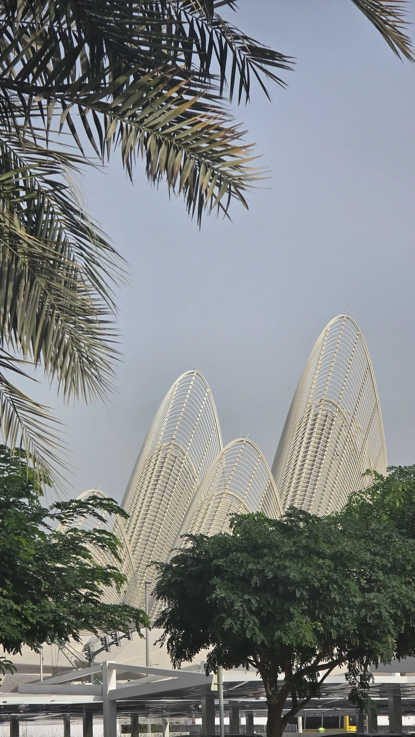 Из Дубая - в сказочный Абу-Даби на 1 день (Екатерина)