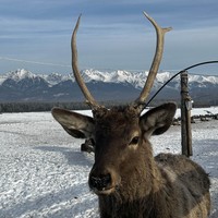 Фото отзыва 1: экскурсия "Горный Аршан: из Иркутска — к подножию Саян"