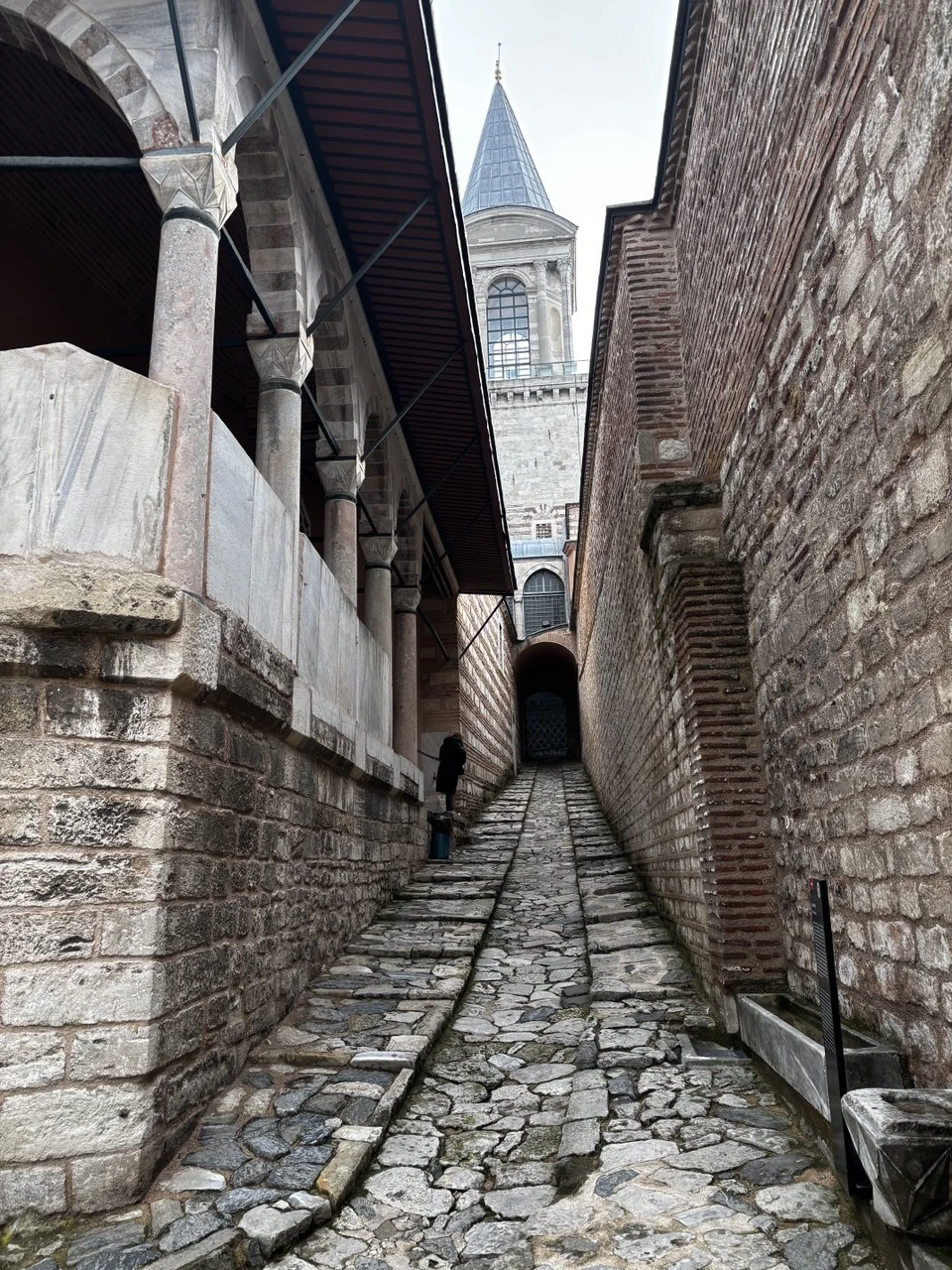 Были в Стамбуле с мужем впервые. К сожалению был один день. Но мы выбрали экскурсию дворец