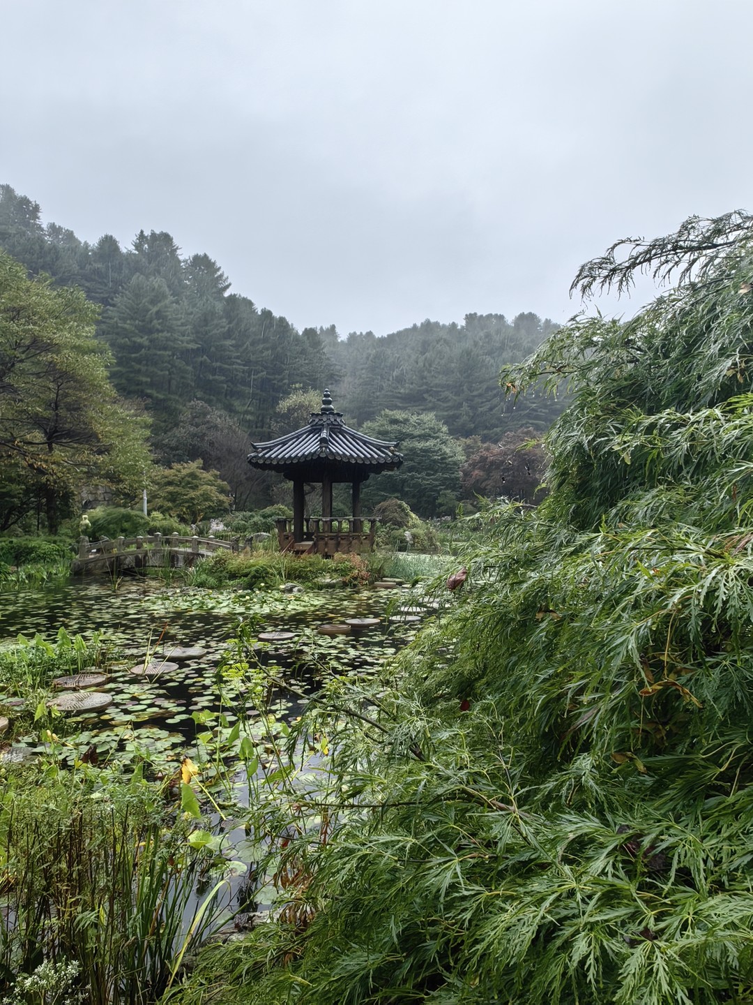 Недавно были на экскурсии с замечательным гидом Юлей по острову Нами и саду Утреннего Спокойствия — впечатления просто потрясающие!