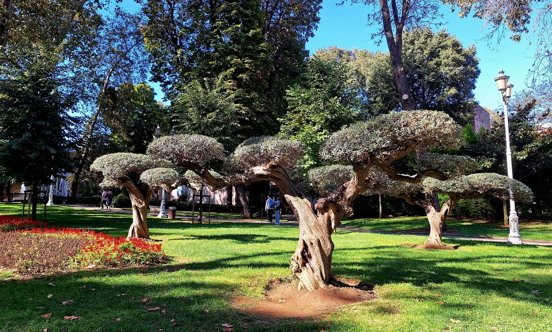 Стамбул: самое главное за 5 часов (Екатерина)