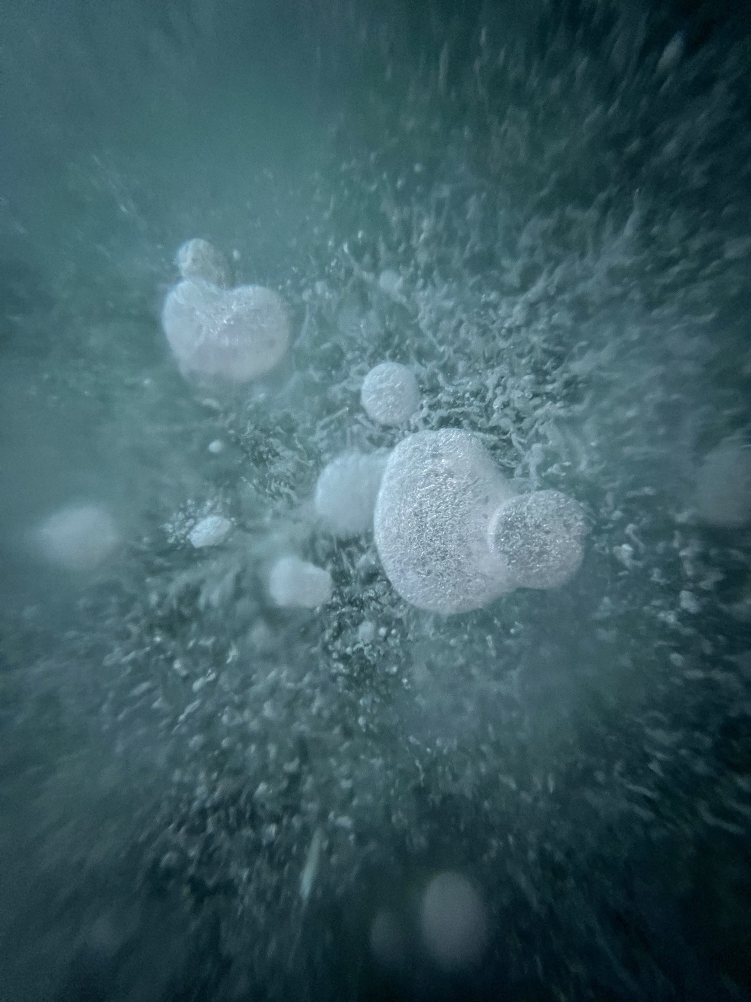 Спасибо Сергею за проведение потрясающей экскурсии на Ольхон по льду Байкала! Интересные рассказы гида,завораживающие красоты Байкала,почувствовали