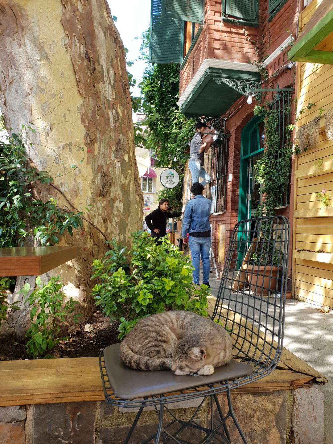 Красочный Стамбул (Mariia)