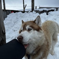 Фото отзыва 1: экскурсия ""