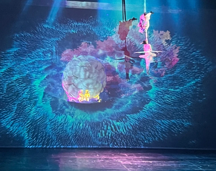 Индивидуальный трансфер на китайское акробатическое шоу (в Пекине)