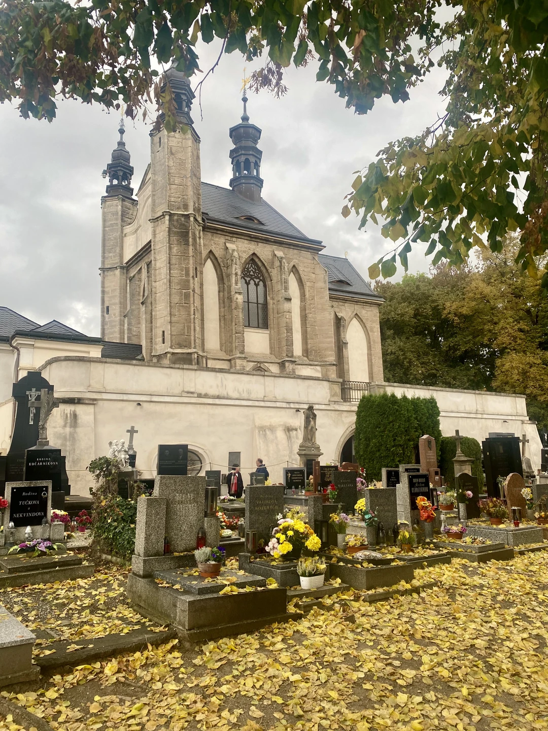 Из Праги - в Кутну-Гору: сокровища королевства (Анна)