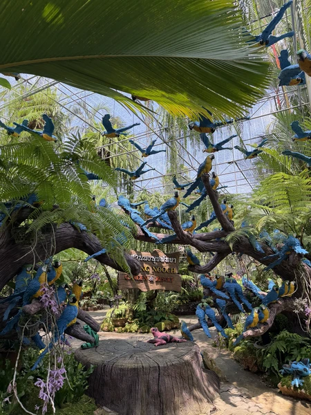 В первую очередь хочу сказать спасибо организатору Леониду - очень вежливый и хороший специалист. Помогал не