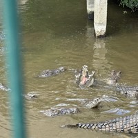 Фото отзыва 2: экскурсия "Зелёное сердце Маврикия"