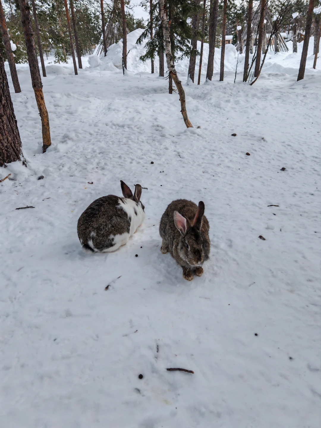 У нас был гид Максим, который к назначенному времени приехал на адрес, где я жила. Очень