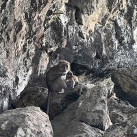 Фото отзыва 1: экскурсия "Наследие Пханг Нга: по суше и на море"