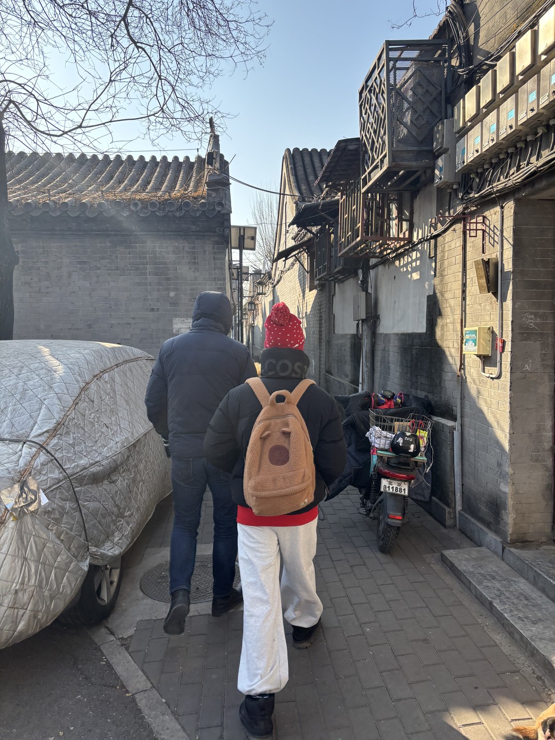 Пекинские хутуны у подножия небоскрёбов (Юлия)