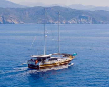 Дикие бухты и острова Гёджека, барбекю