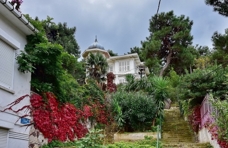 Фото отзыва 2: экскурсия "Вино и сыр по-турецки"