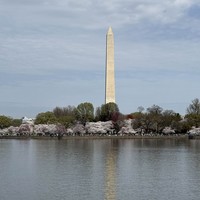 reviews img