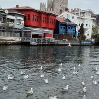 Фото отзыва 1: экскурсия "Любовь к Стамбулу со второго взгляда"
