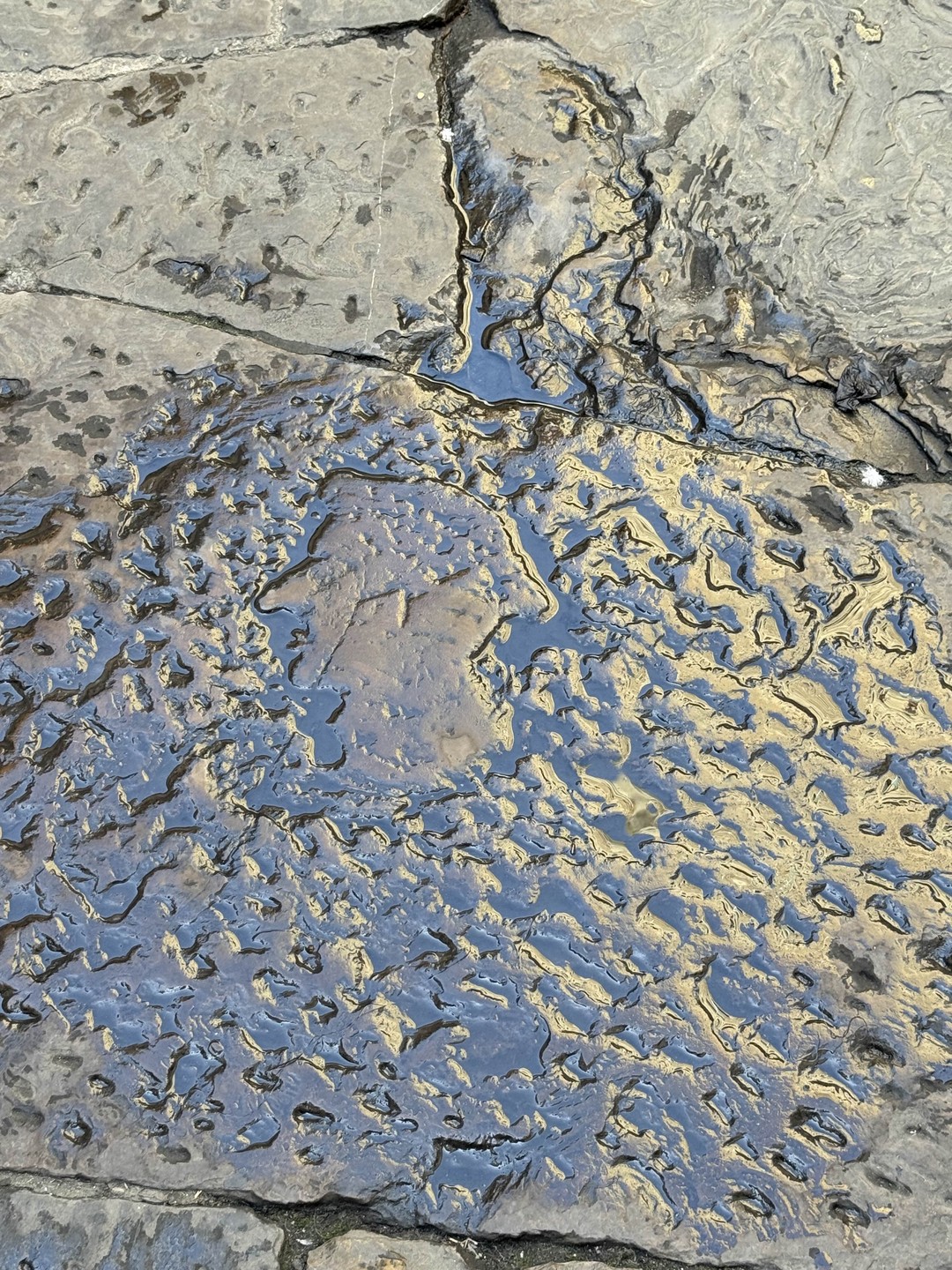 Влюбиться во Флоренцию (Эмилия)